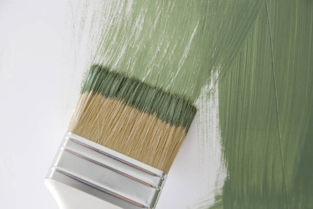 Best Mold Odor Removal Services  in Port Jefferson, NY