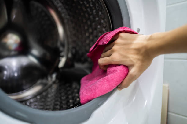 Best Commercial Mold Inspection  in Port Jefferson, NY