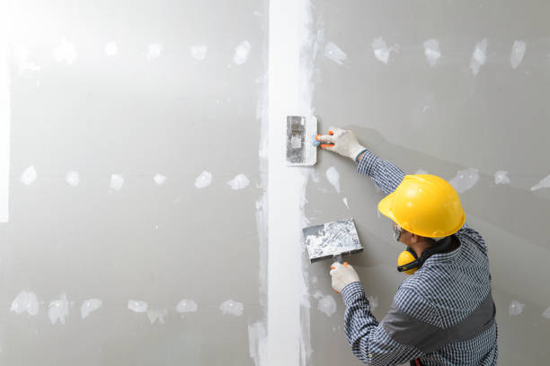 Best Post-Construction Mold Inspection  in Port Jefferson, NY