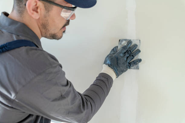 Best Attic Mold Removal  in Port Jefferson, NY
