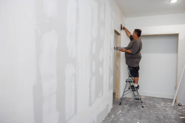 Mold Documentation for Insurance Claims in Port Jefferson, NY
