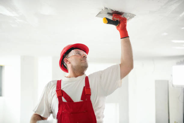 Best Air Quality Testing for Mold Spores  in Port Jefferson, NY