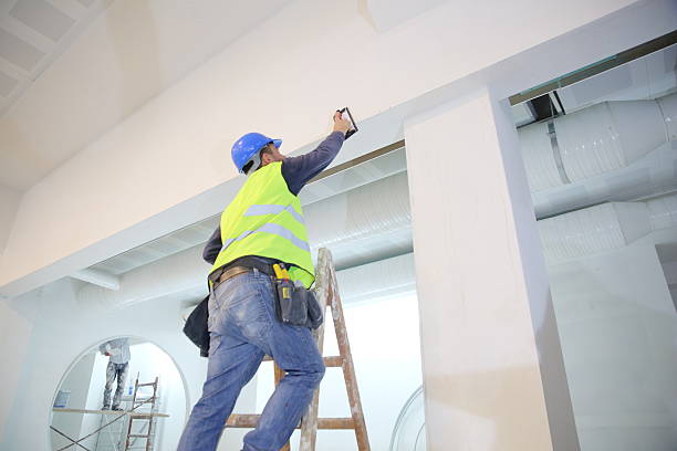 Best Black Mold Removal  in Port Jefferson, NY